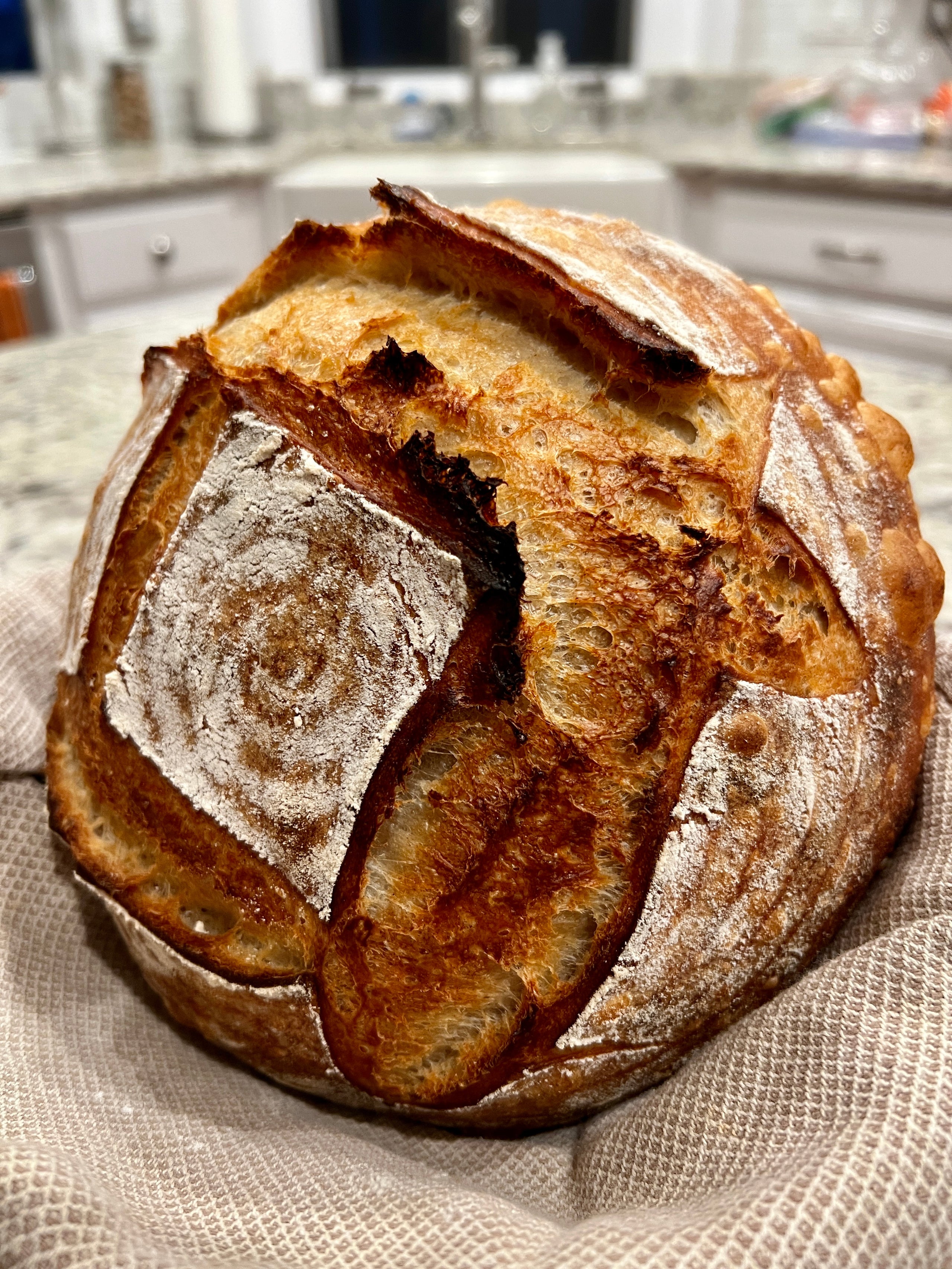 Hearth Breads Oh Crumbs! Bread Co.
