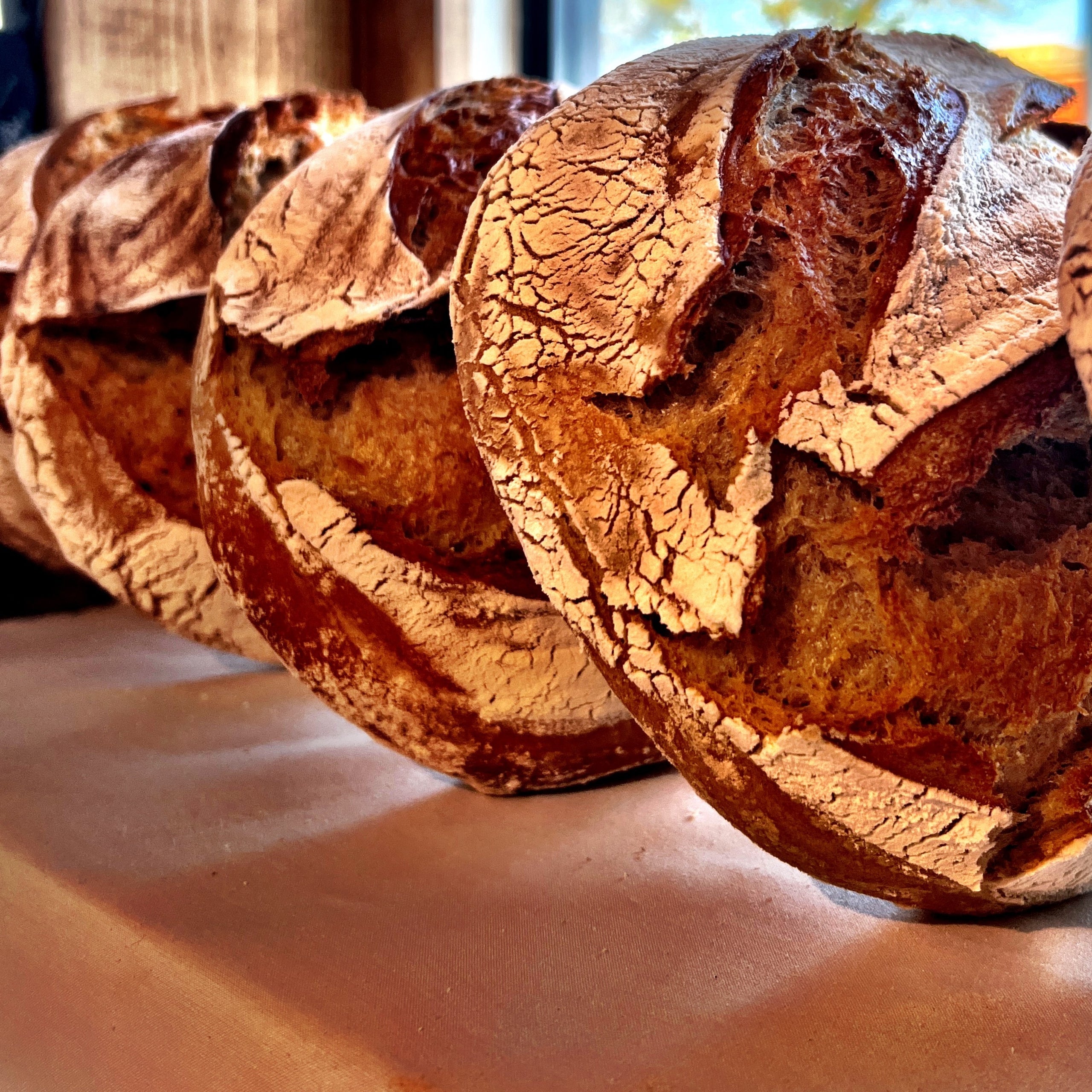 Hearth Breads Oh Crumbs! Bread Co.