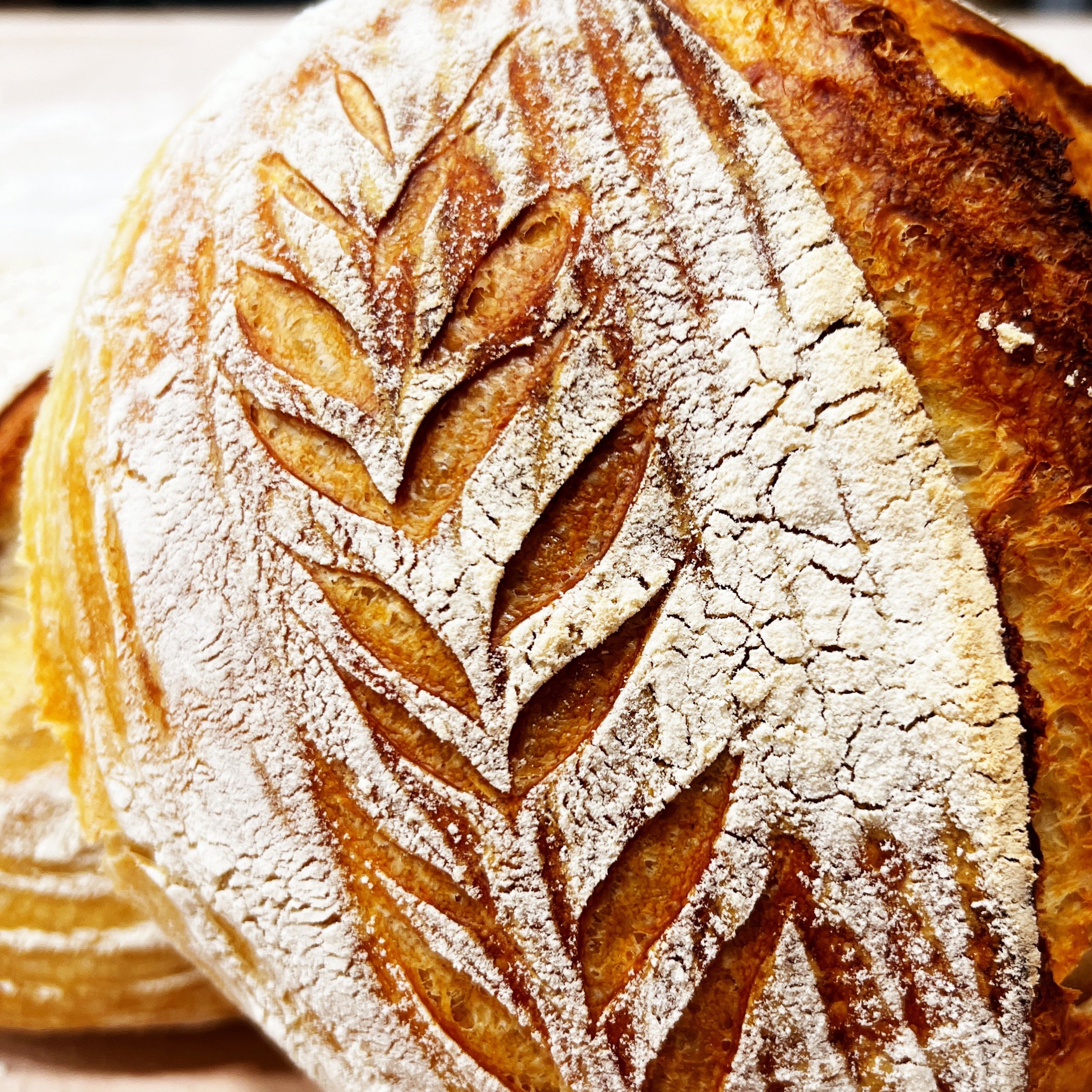 Hearth Breads Oh Crumbs! Bread Co.