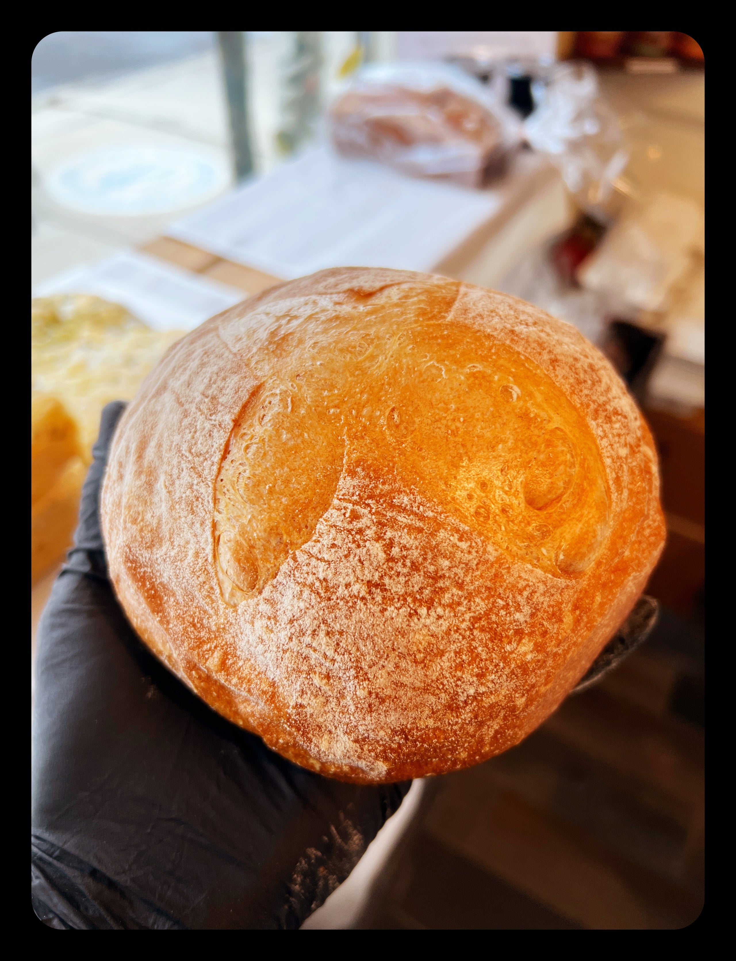 Bread Bowl Oh Crumbs! Bread Co.